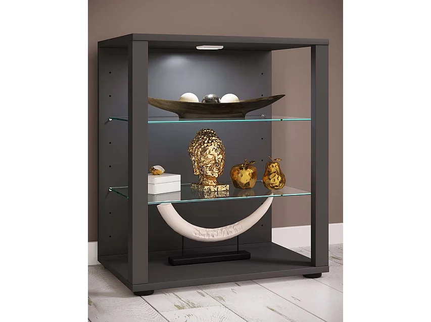 Holz Glas Stand Vitrine Sammelvitrine Glasol S