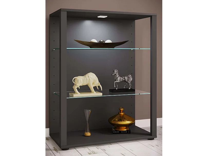 Armário em pé Glasol Antracite A. 90 x L. 70 x P. 35 cm