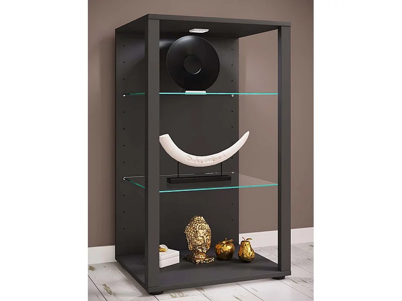 Armário em pé Glasol Antracite A. 90 x L. 52 x P. 44 cm