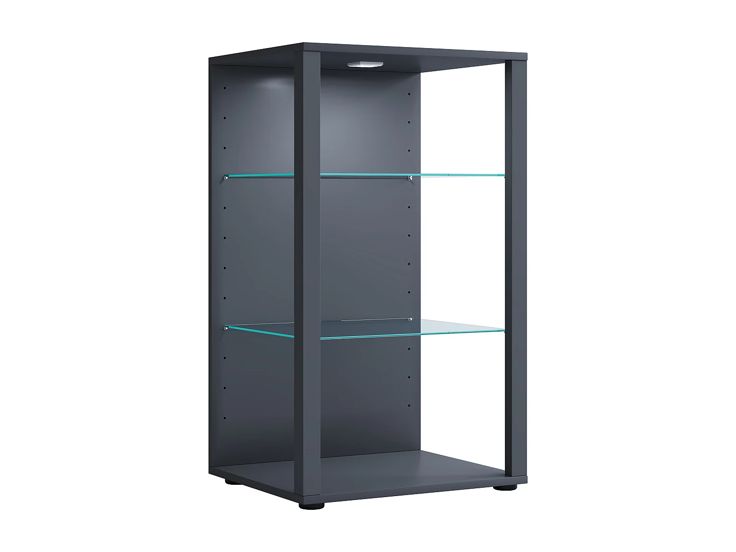 Vitrine en bois en verre Glasol XL