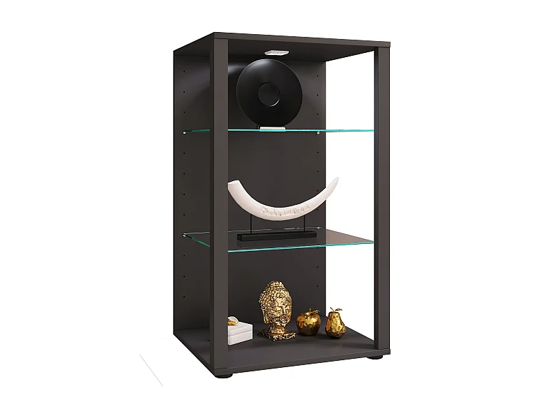 Standing cabinet Glasol Anthracite H. 90 x W. 52 x D. 44 cm