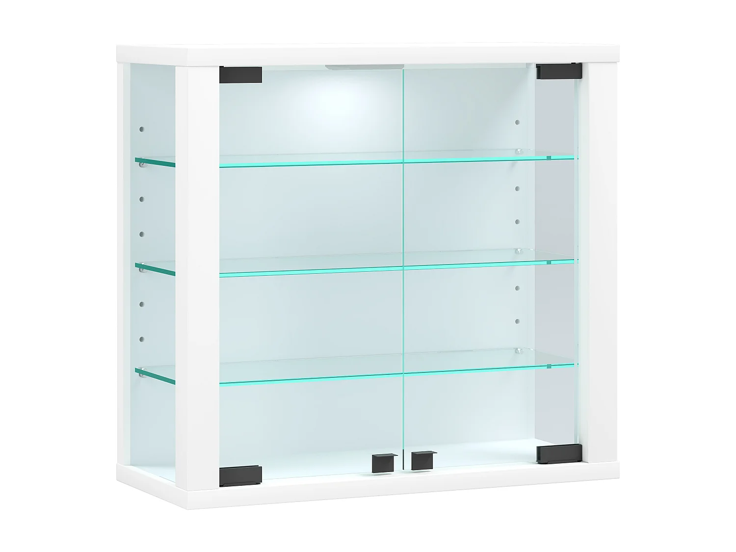 Wandvitrinekast Glazen vitrine Vitrosa S