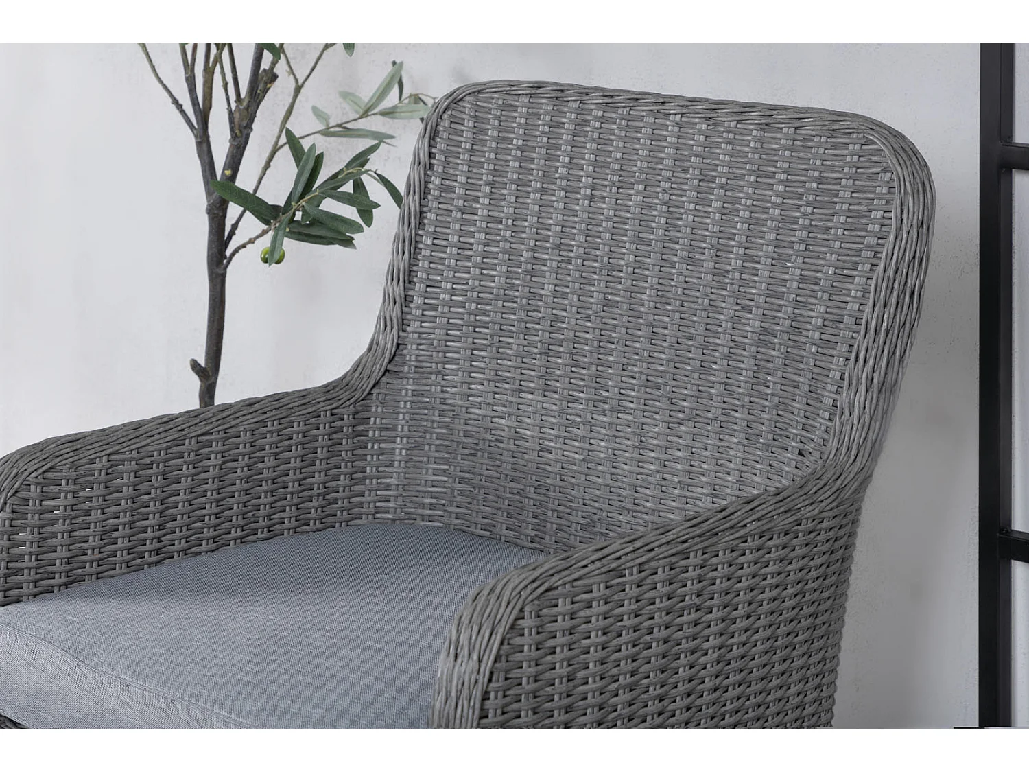 Wembley Dining Chair