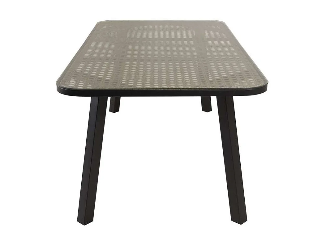 Table de Jardin en Verre "Paola" 200cm Noir & Marron