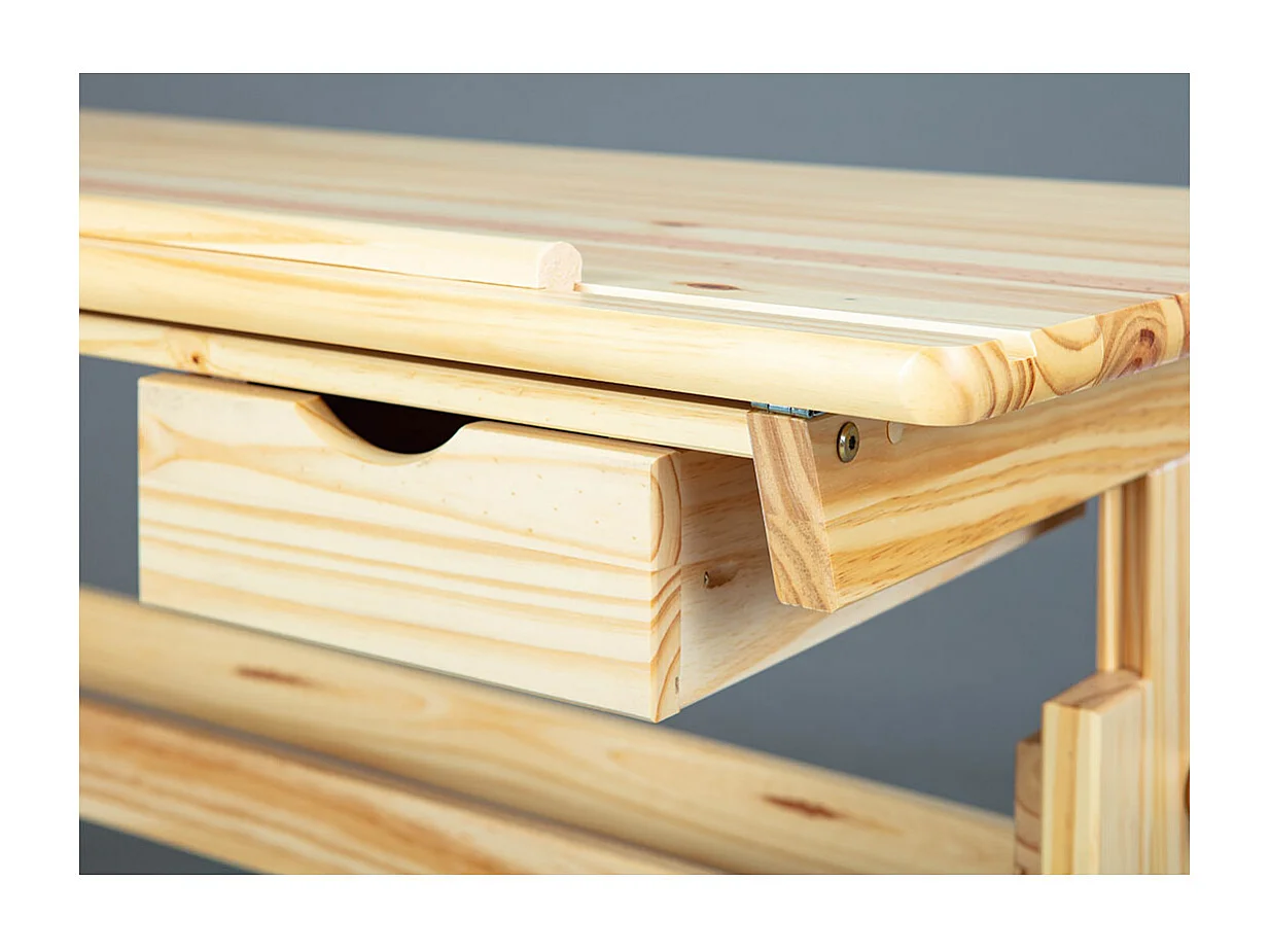 Julva bureau 1 lade natuur.