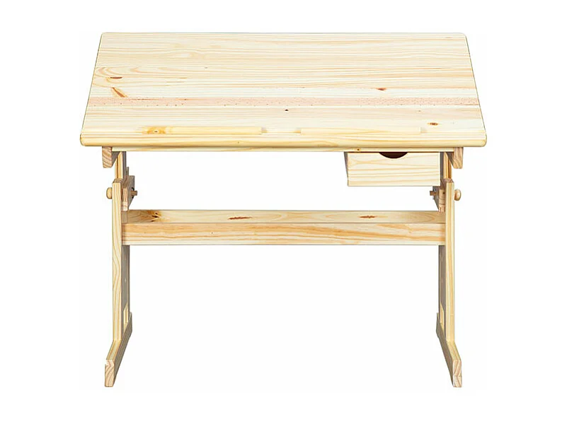 Julva bureau 1 lade natuur.