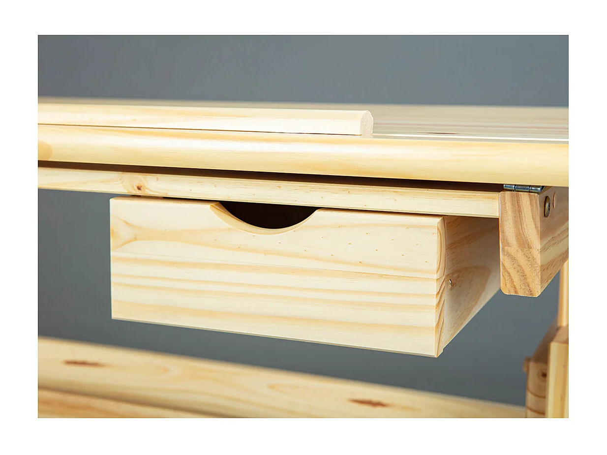 Julva bureau 1 lade natuur.