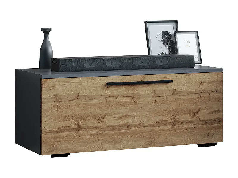 Holz TV Lowboard Möbel Fernsehschrank Arila S