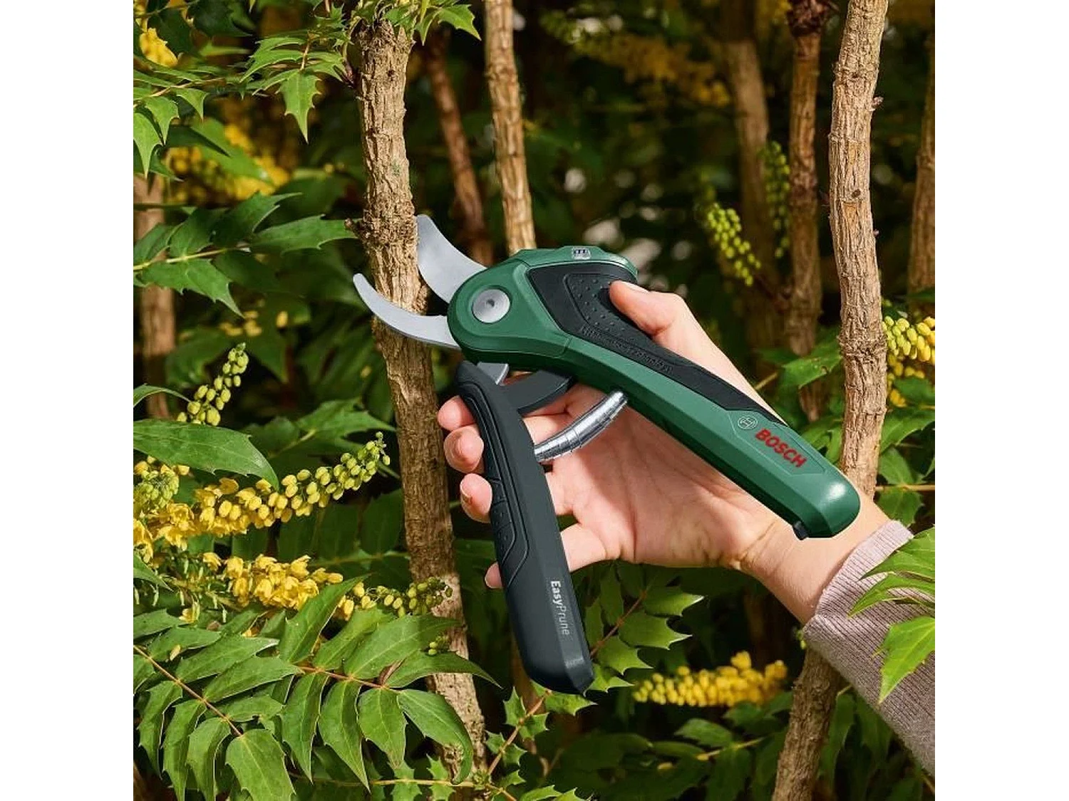 Sécateur sans fil EasyPrune - Bosch
