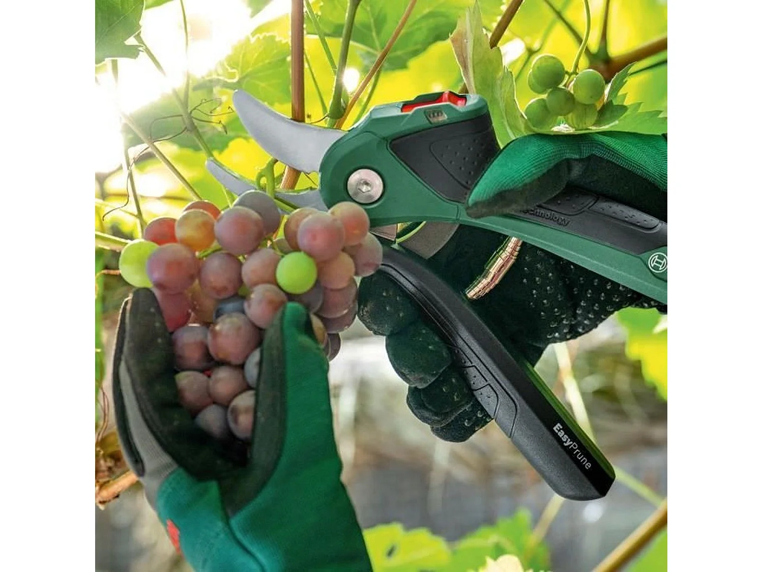 Sécateur sans fil EasyPrune - Bosch