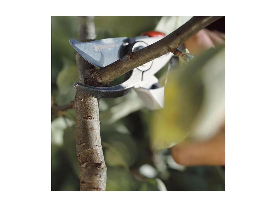 GARDENA Secateur BP 50 Premium - O24mm max - Lames franches acier inox - Poignee ergonomique - Garantie 25 ans 8702-20