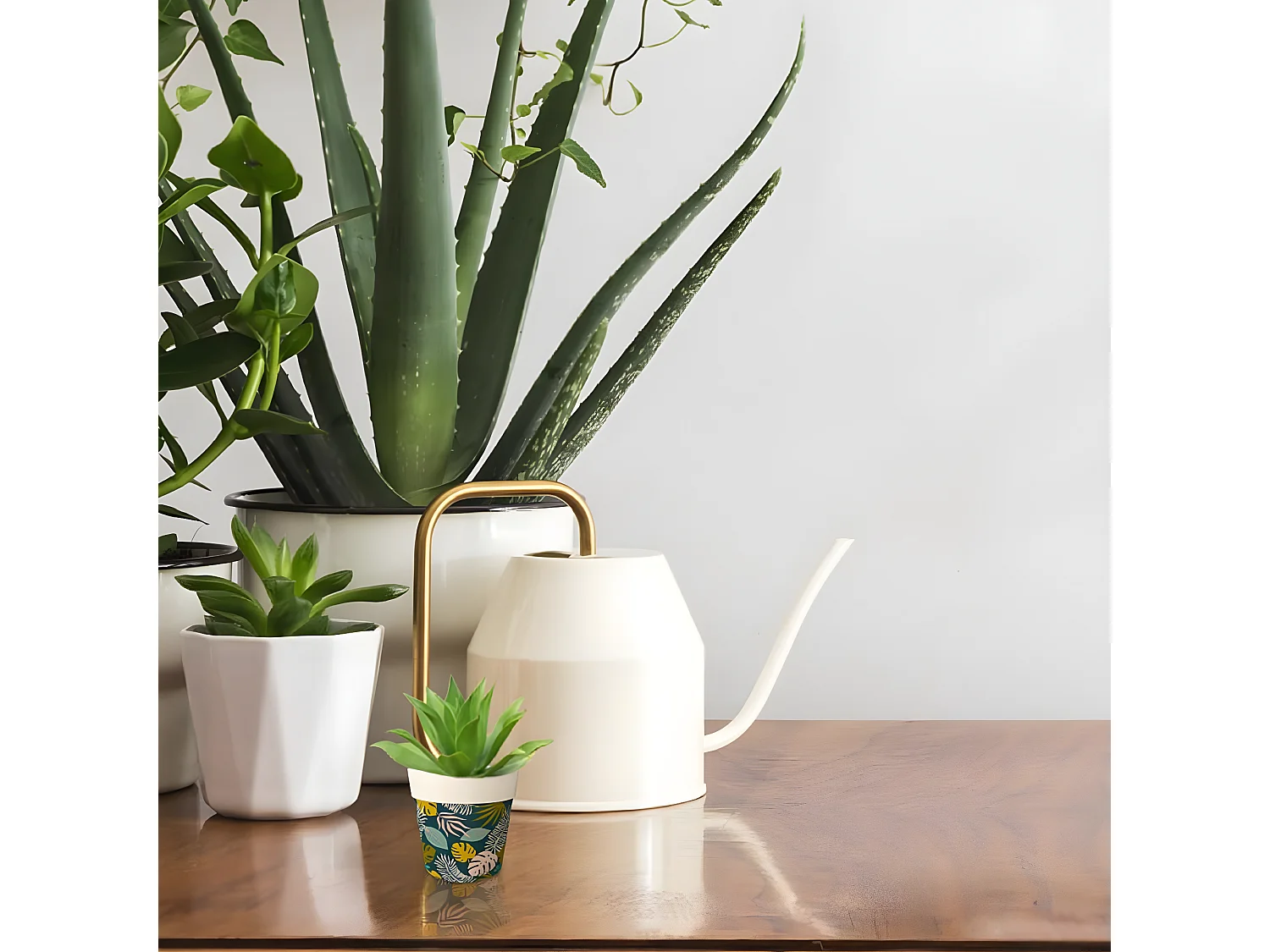 Cache Pot Bambou tropical 6 cm