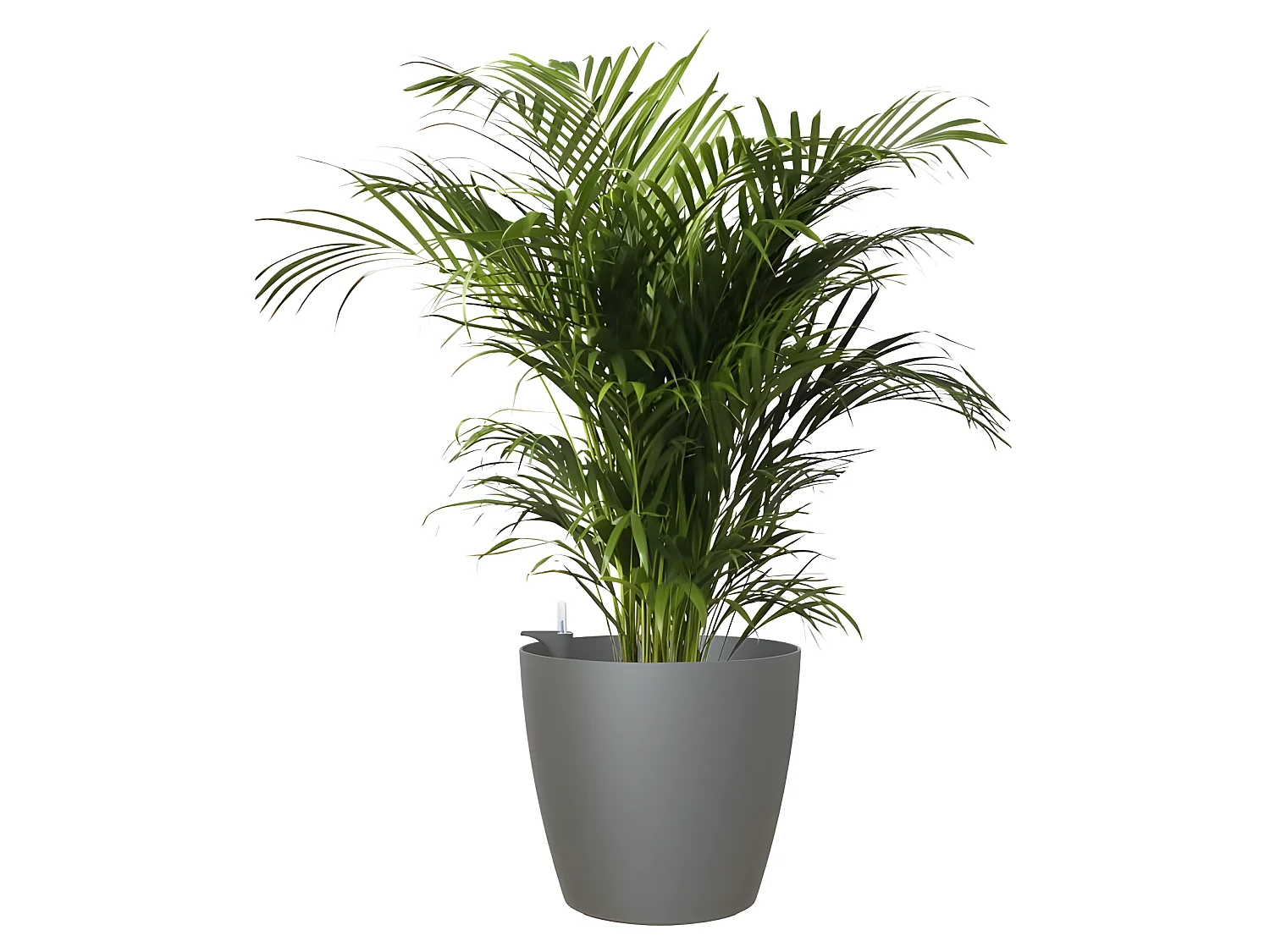 Pot san remo mate 36cm auto-arrosage anthracite 36 x 36 x h33,5 cm - 1,44l