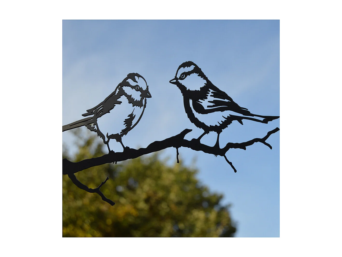 Silhouette sur pique en acier noir Mésange bleue