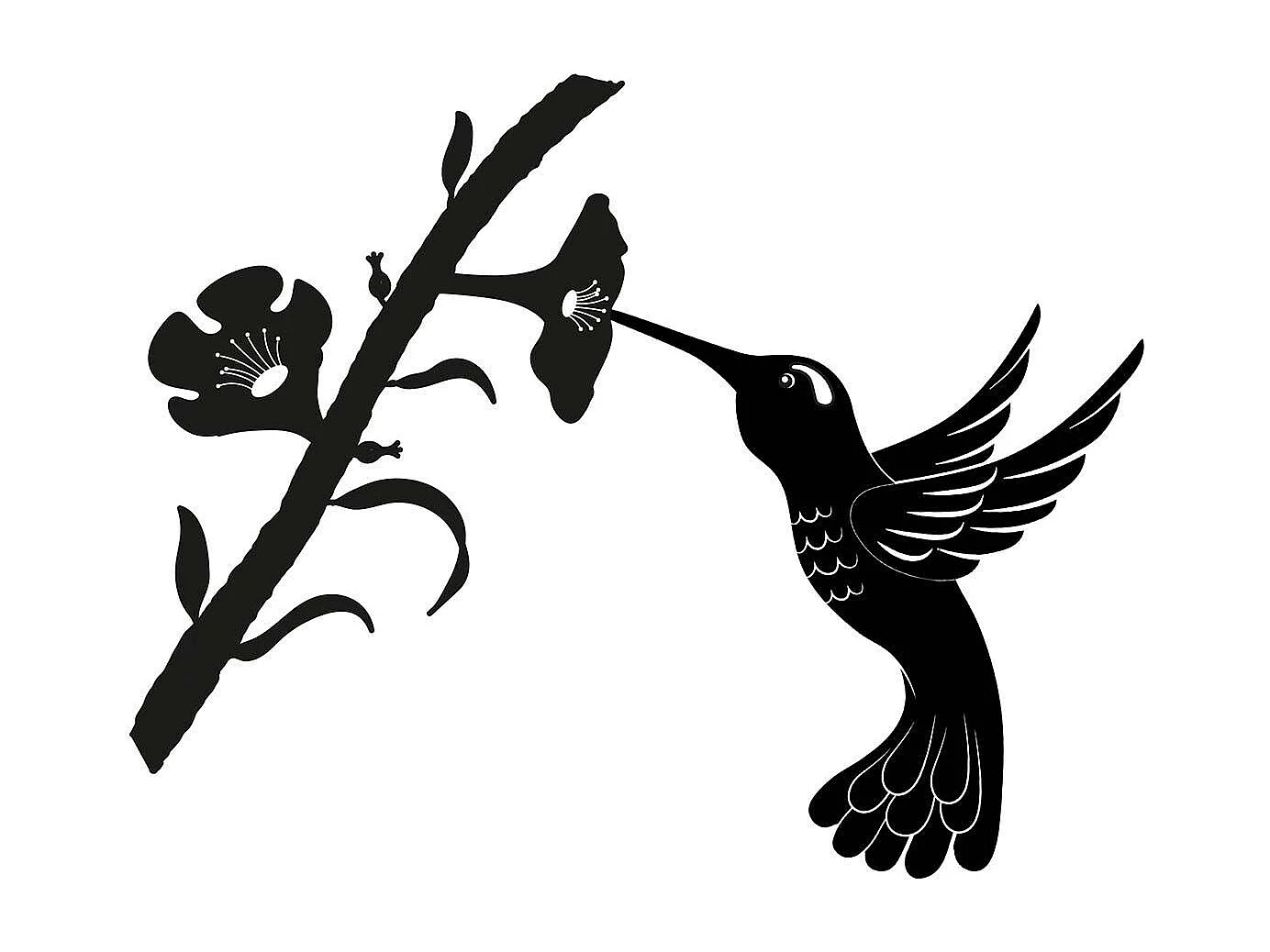 Silhouette sur pique en acier noir Colibri