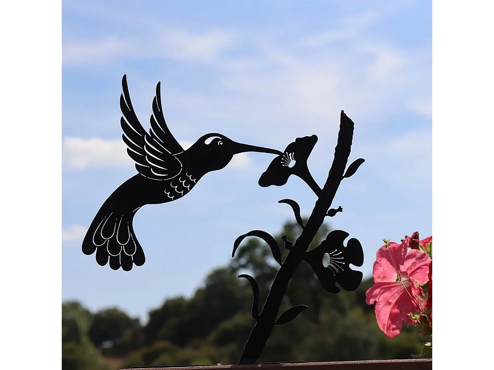 Silhouette sur pique en acier noir Colibri