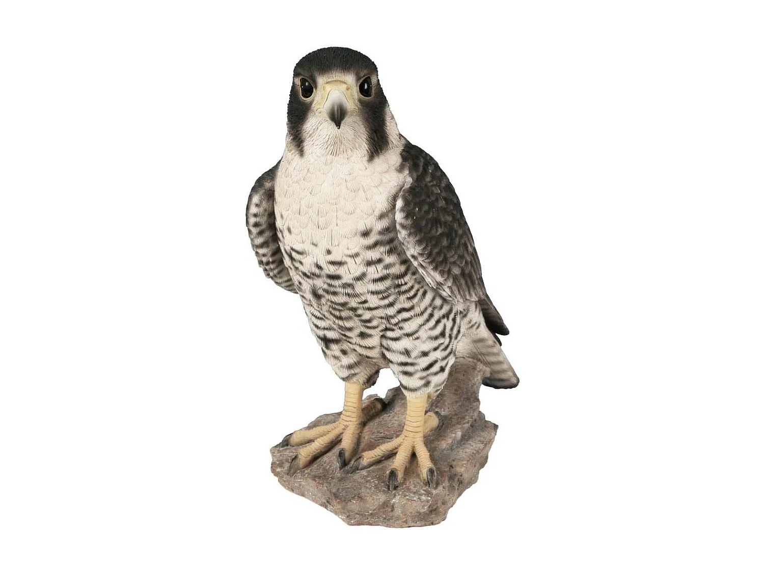 Faucon pèlerin en résine 26 cm