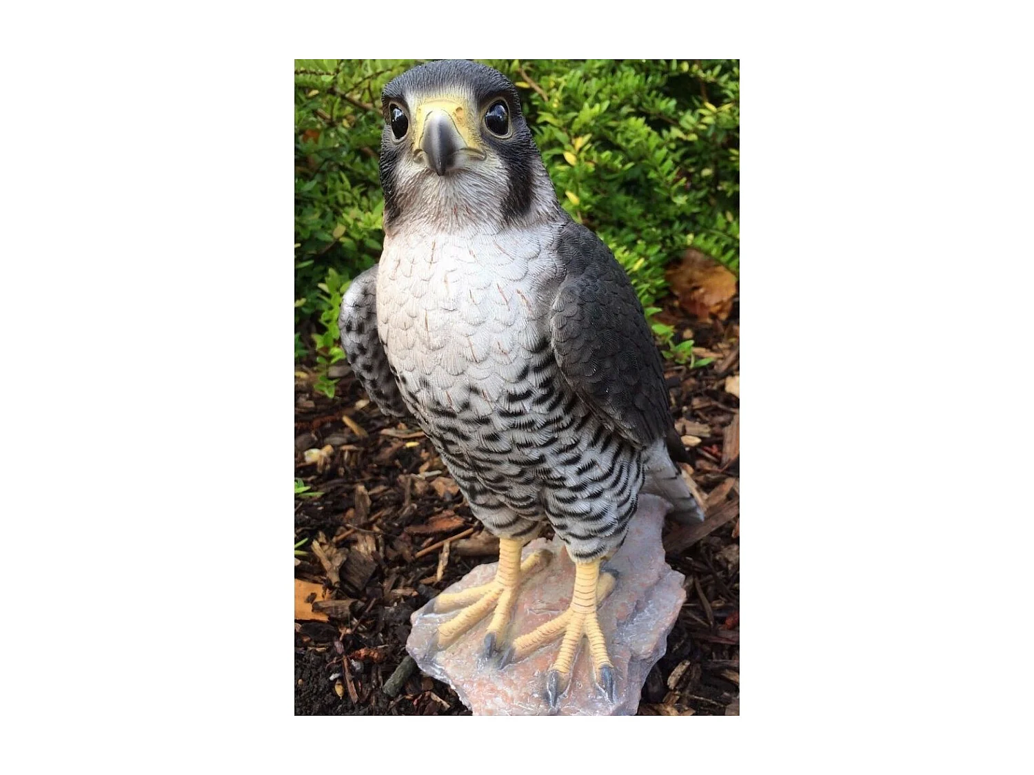 Faucon pèlerin en résine 26 cm
