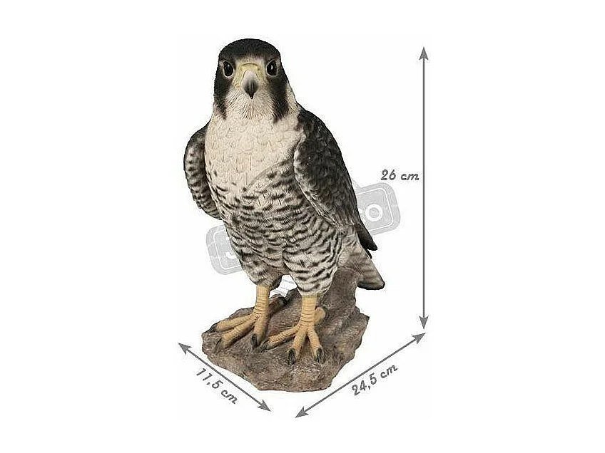 Faucon pèlerin en résine 26 cm