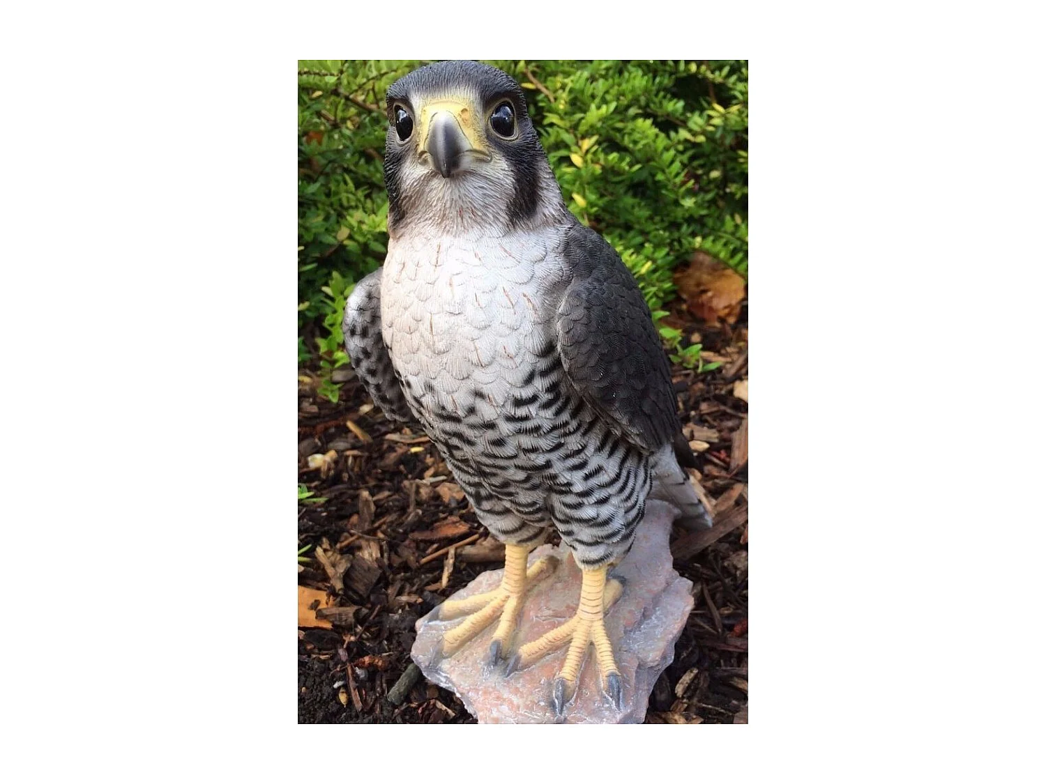 Faucon pèlerin en résine 26 cm