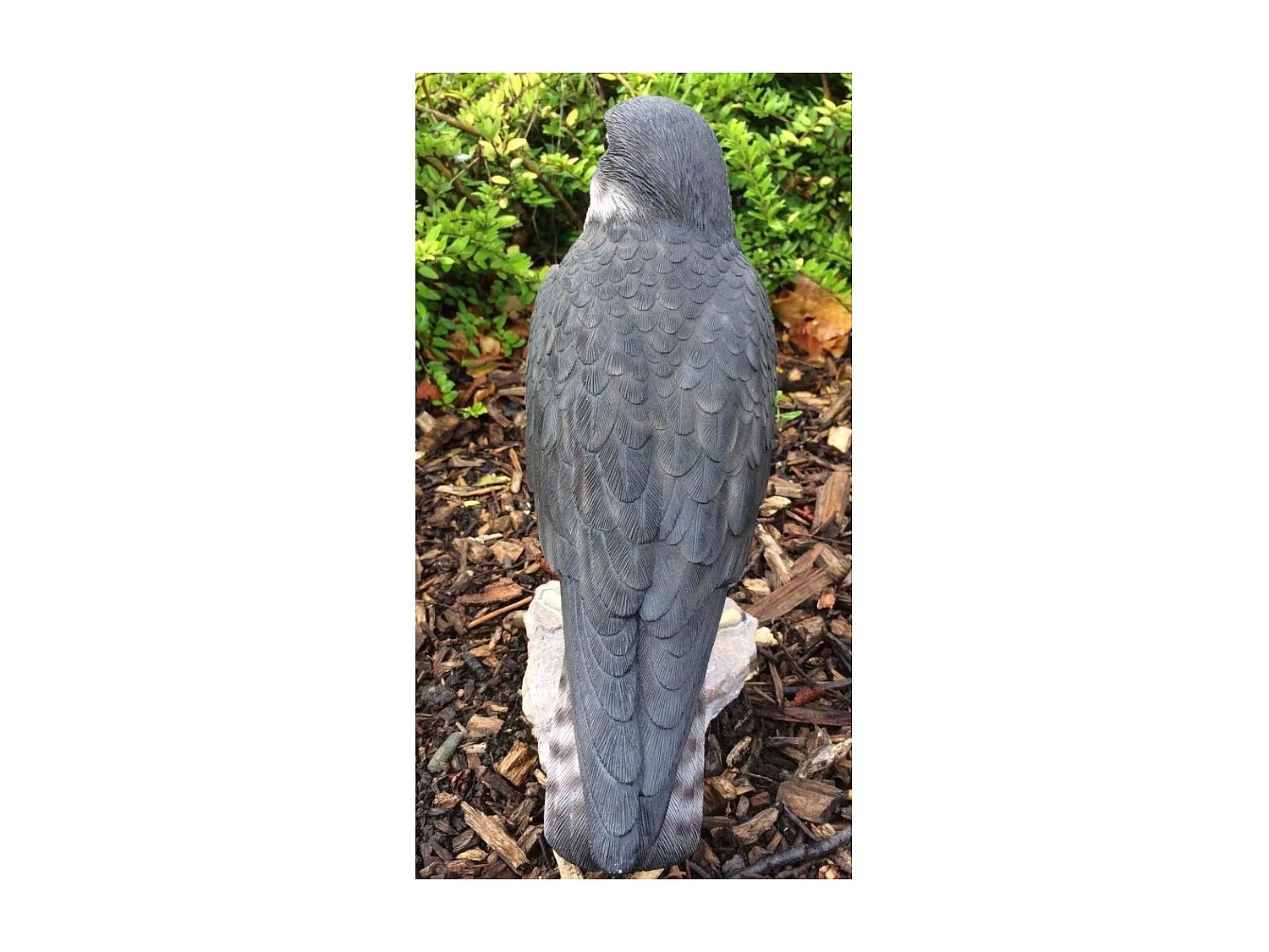 Faucon pèlerin en résine 26 cm