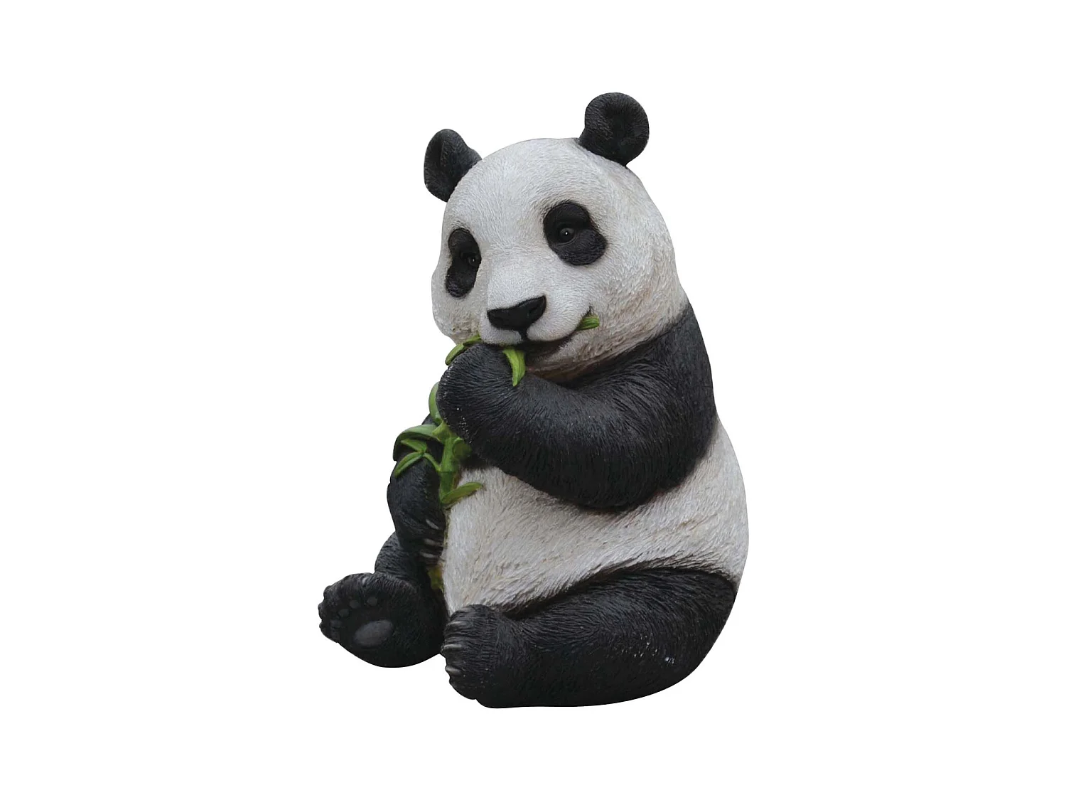 Panda che mangia resina di eucalipto