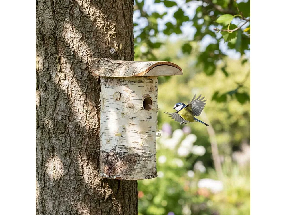 Nichoir pour mésange bleue en bois de bouleau