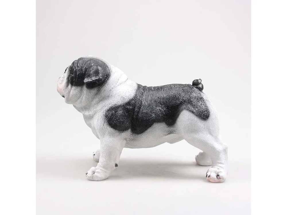 Bouledogue anglais debout en résine 41 x 21 x 27 cm