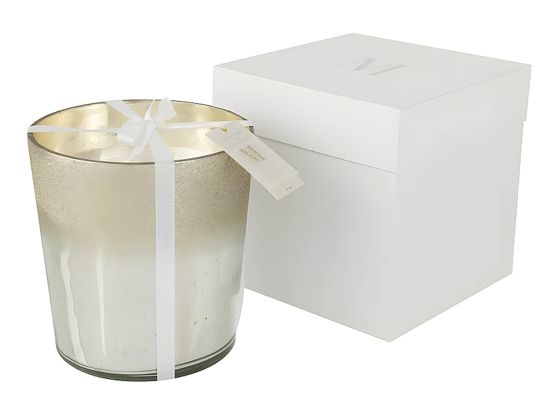 Candela profumata in vetro argento 21x21x22 cm