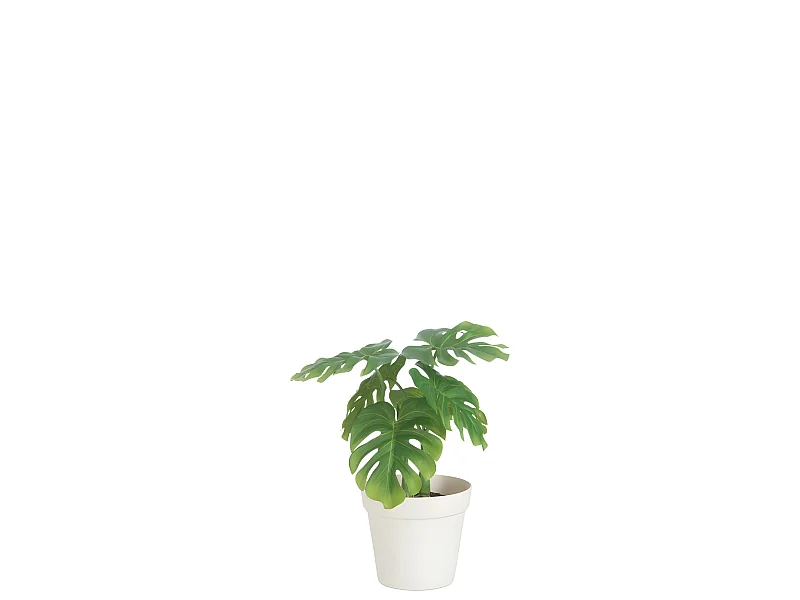Philodendron artificiale in vaso bianco in plastica verde 12,5x12,5x27,5 cm