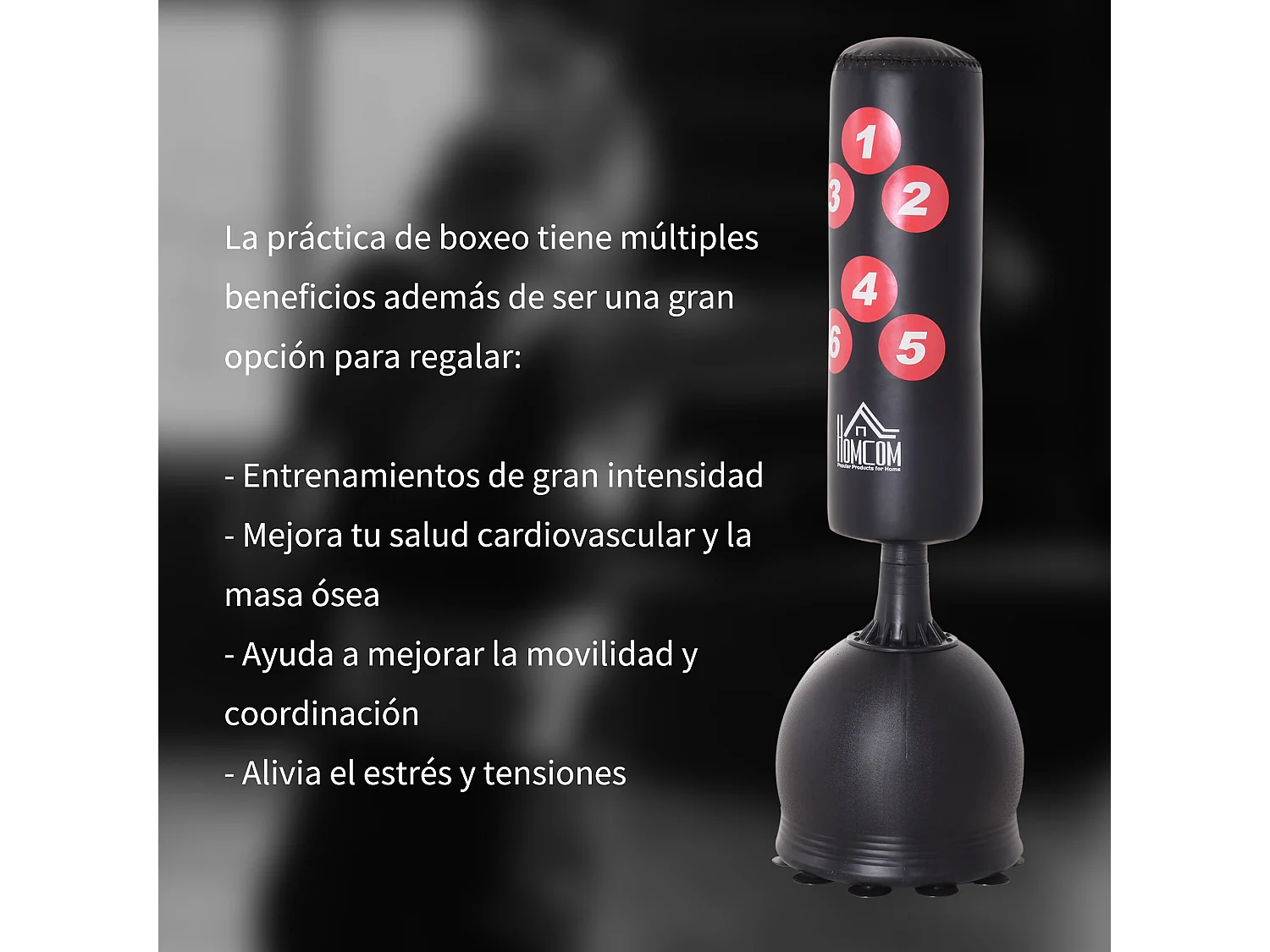 Saco de boxeo de pie negro 50x50x165cm HOMCOM