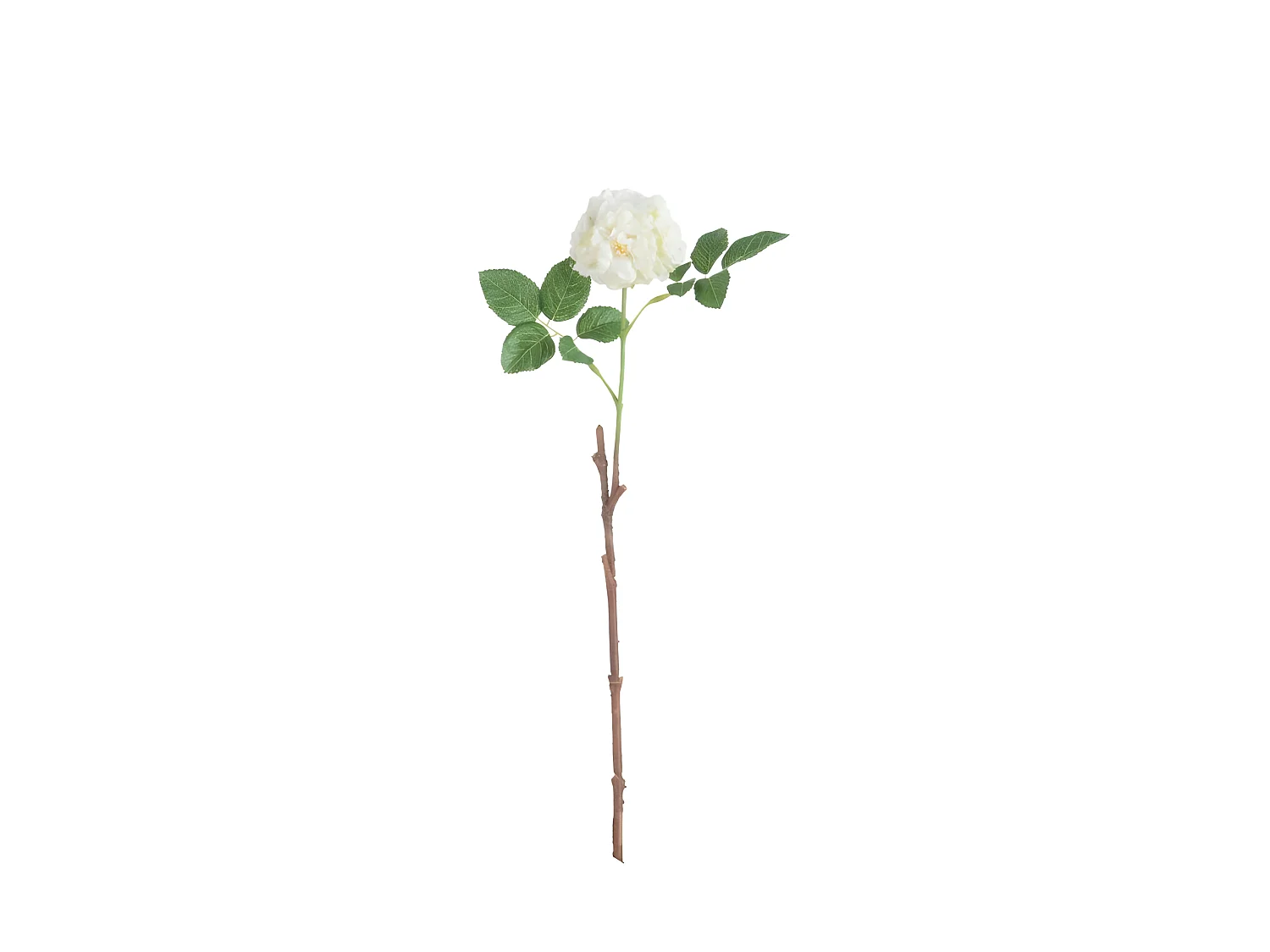 Rosa in plastica bianca 15x7x45 cm