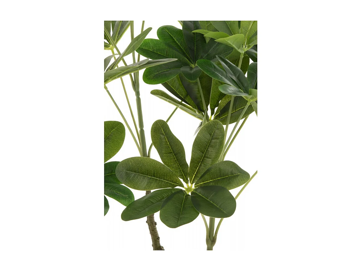 Pachira en maceta de plástico verde 27x27x110 cm