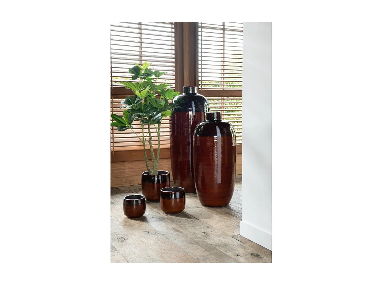 Pachira en maceta de plástico verde 27x27x110 cm