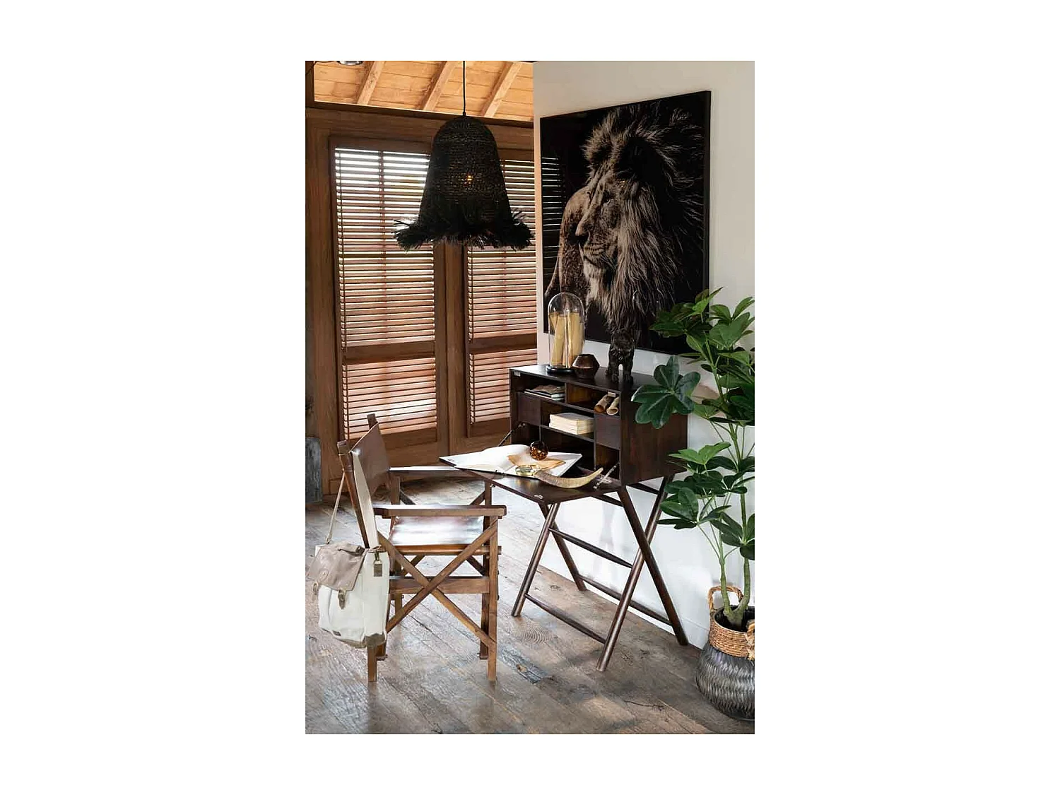 Pachira en maceta de plástico verde de 64x30x157 cm