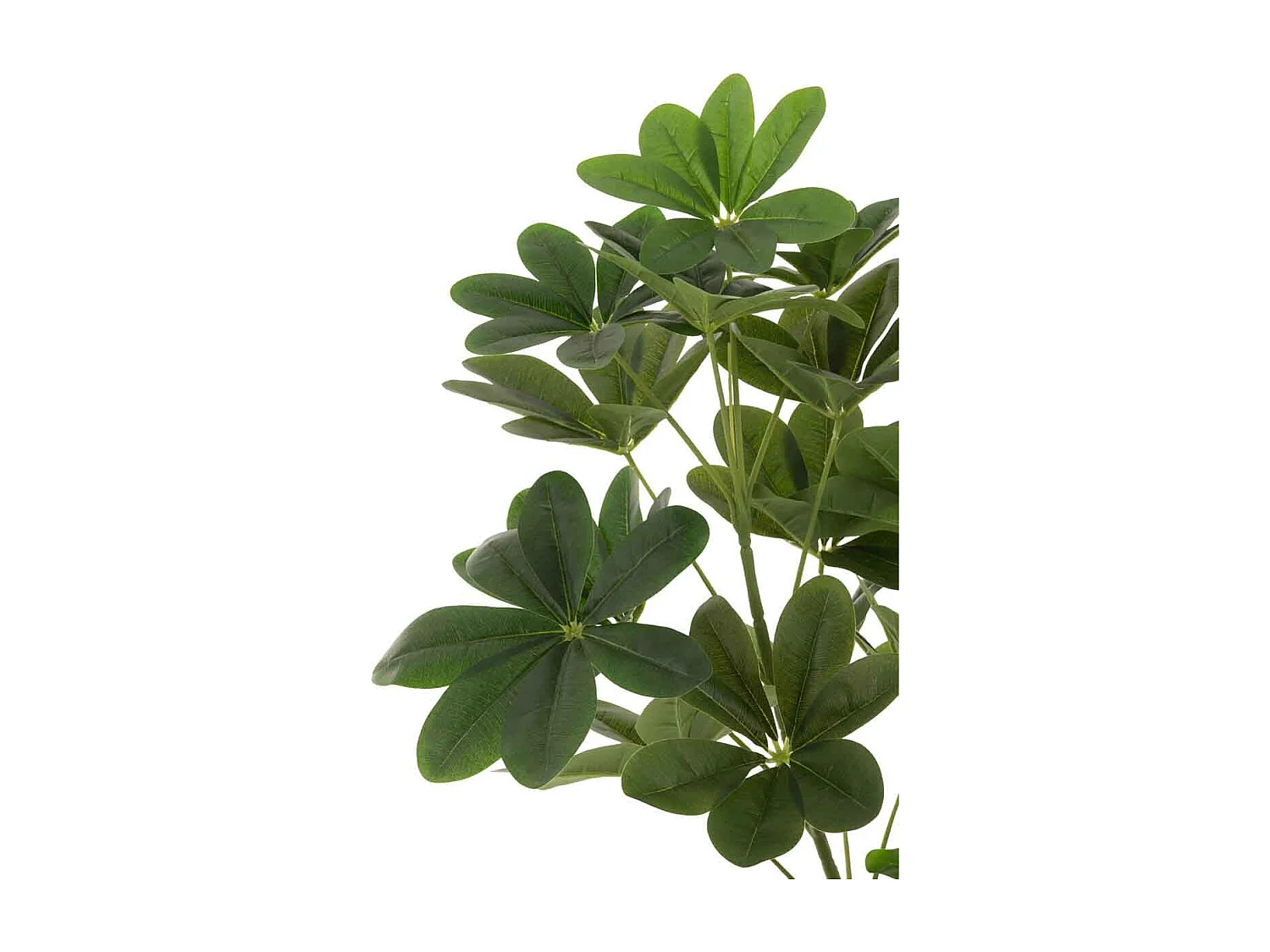 Plante Artificielle en Pot "Pachira" 157cm Vert