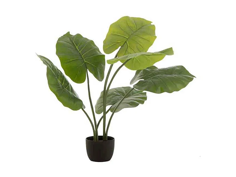 Tarot salvaje en maceta de plástico verde de 23x16x78 cm