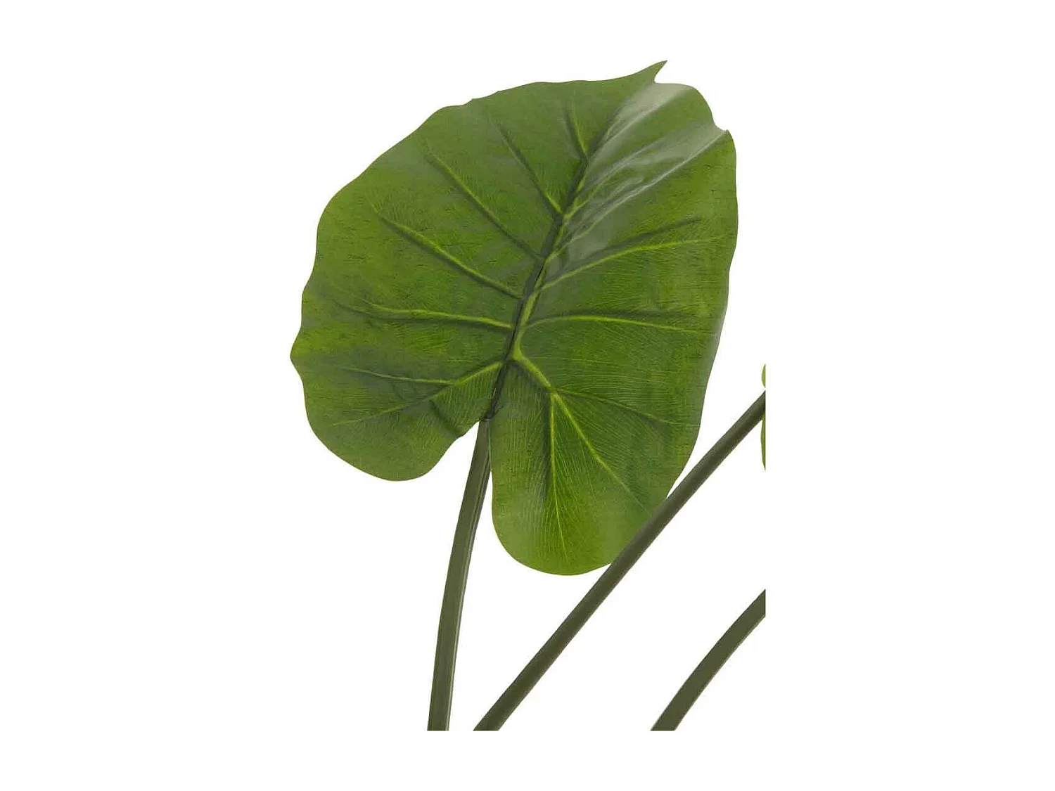 Plante Artificielle "Taro Sauvage" 123cm Vert