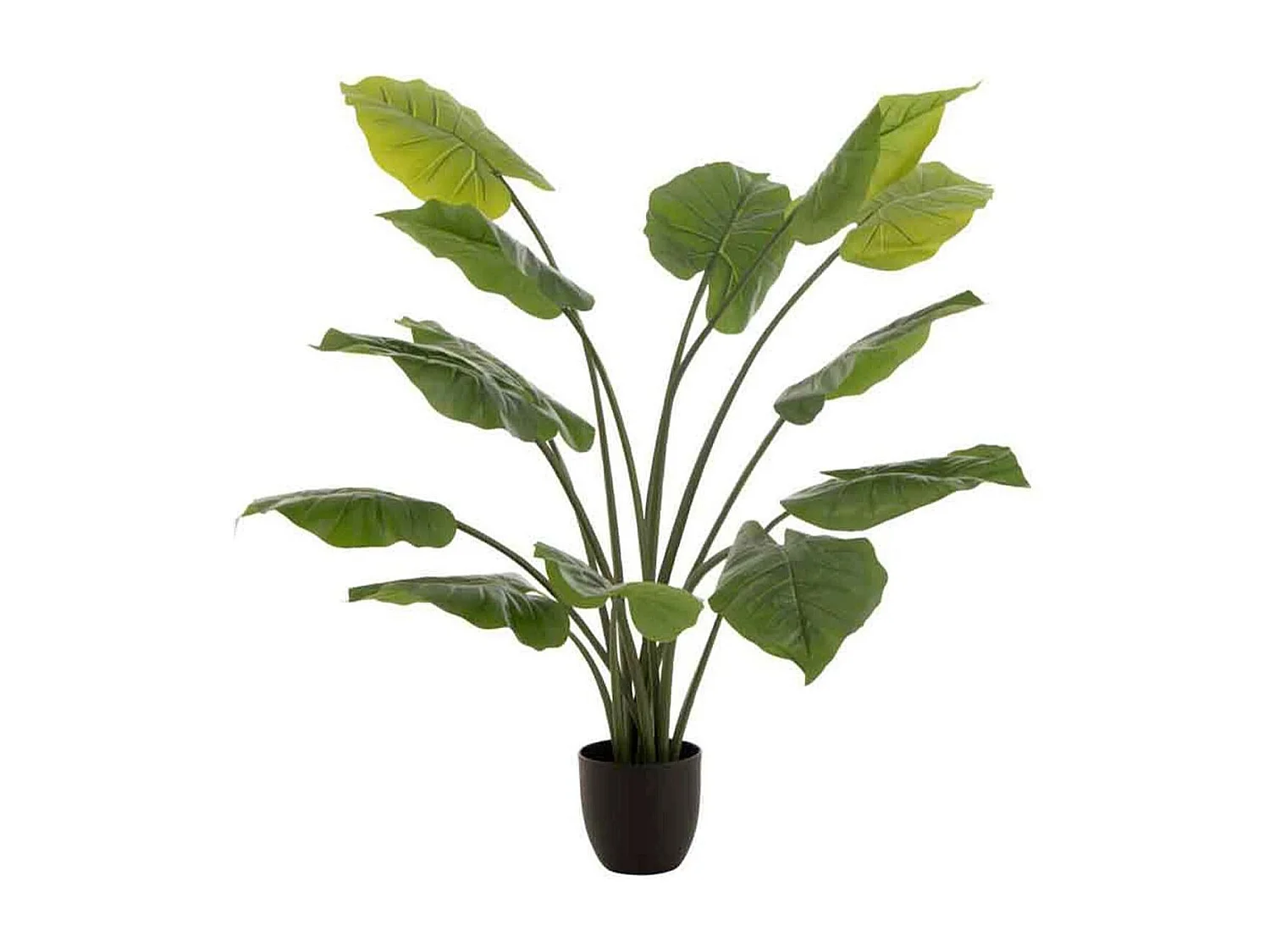 Plante Artificielle "Taro Sauvage" 123cm Vert
