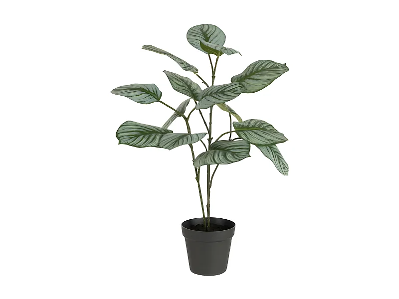 Plante Artificielle en Pot "Calathee" 56cm Vert