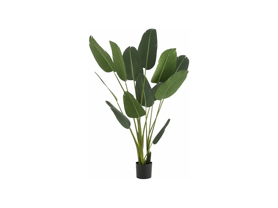 Plante Artificielle en Pot "Strelitzia" 189cm Vert