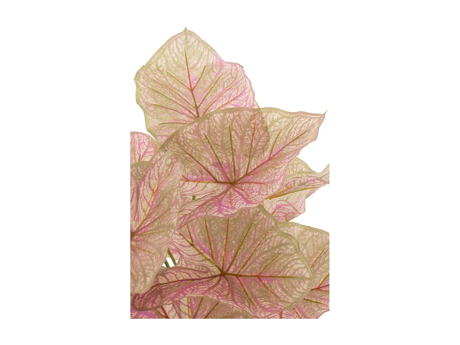 Plante Artificielle en Pot "Caladium" 57cm Rose Clair