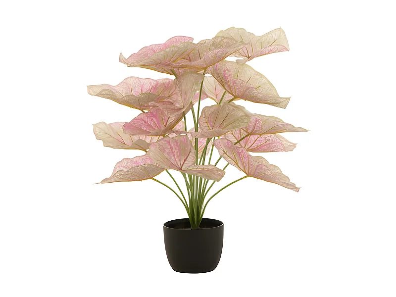 Plante Artificielle en Pot "Caladium" 57cm Rose Clair