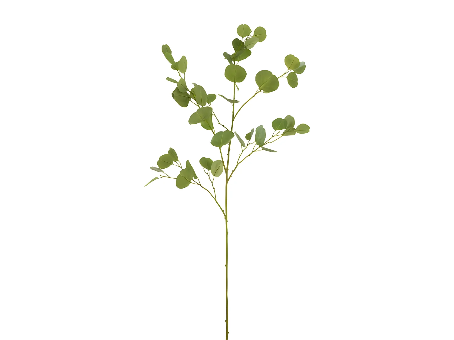 Rama eucalipto plástico verde Alt. 138 cm