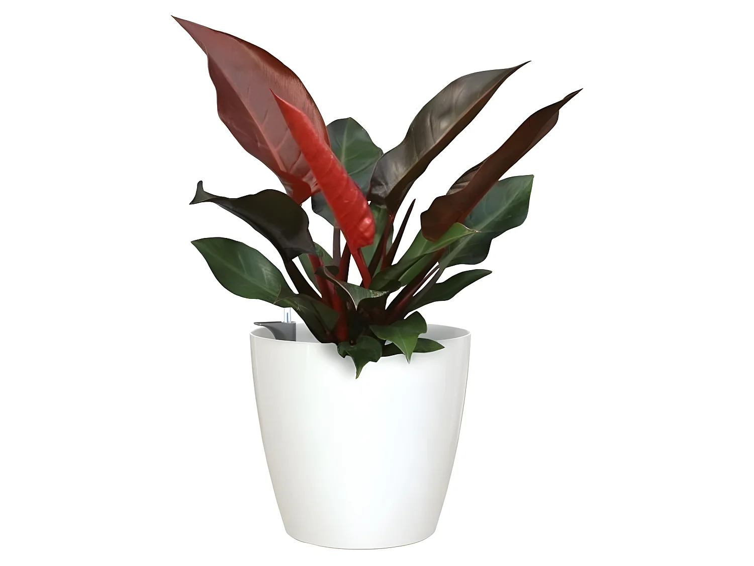 Maceta San Remo Auto-riego 30cm Blanco 0,82L