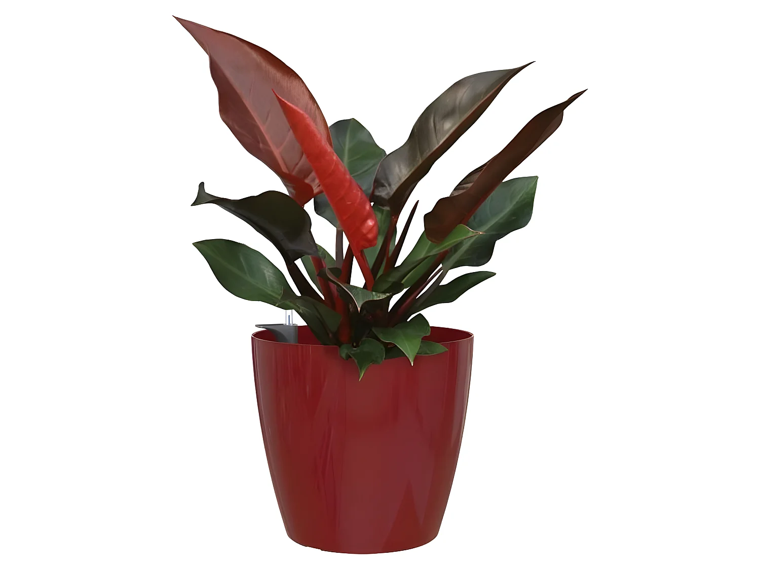 Pot san remo auto-arrosage 30cm rouge foncé 30 x 30 x h27,3 cm - 0,82l