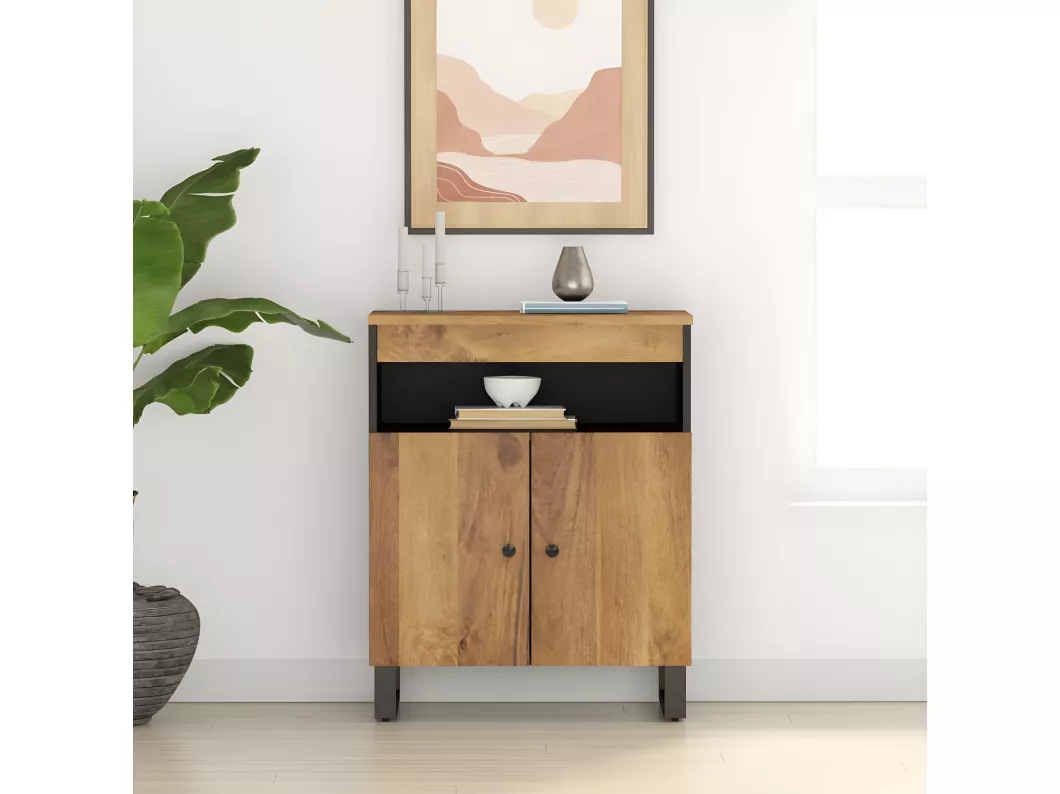 Kauf Unique Sideboard mit 2 Türen 60x33x75 cm Massivholz Mango