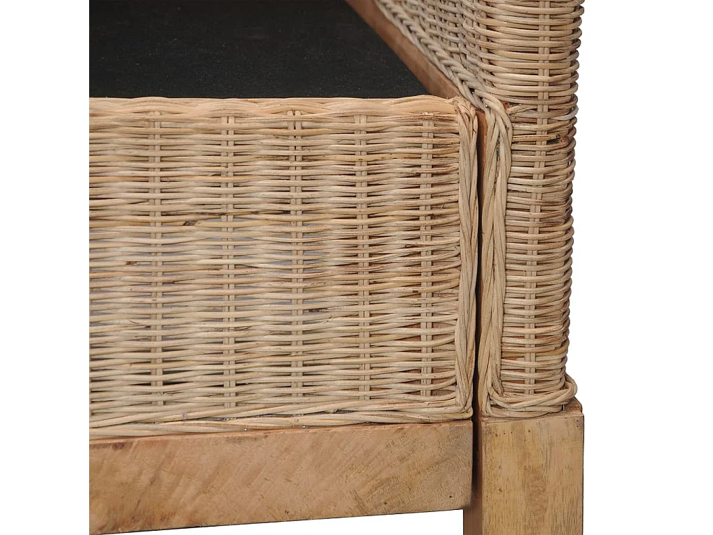 Fauteuil avec coussins Rotin naturel