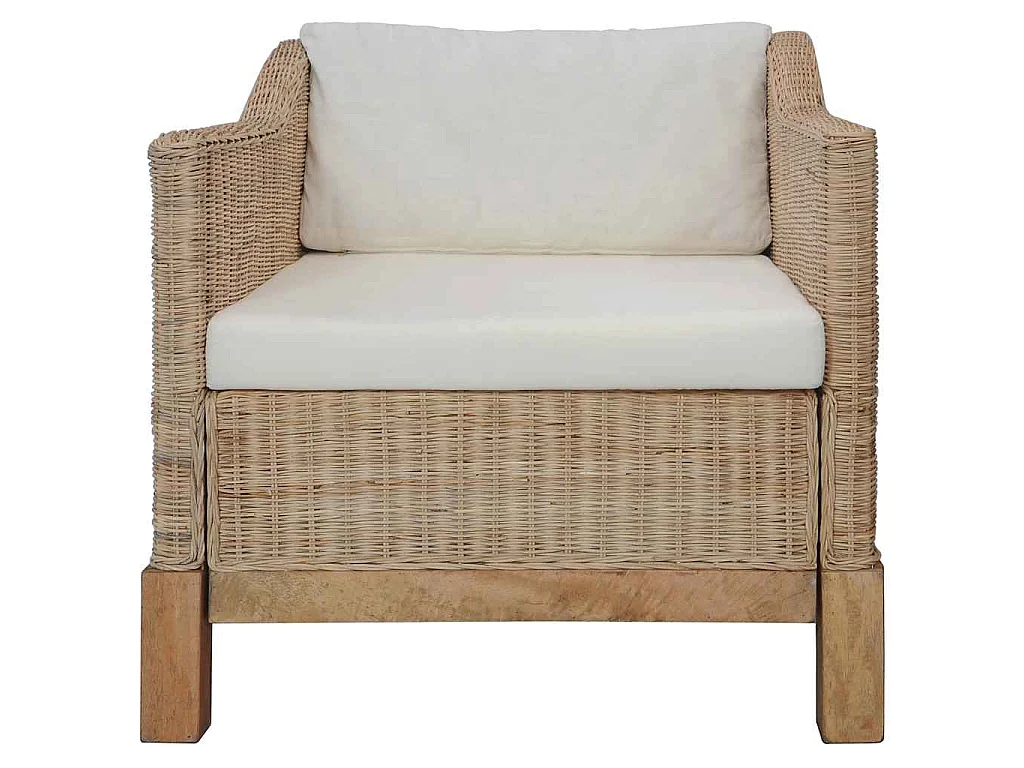Fauteuil avec coussins Rotin naturel
