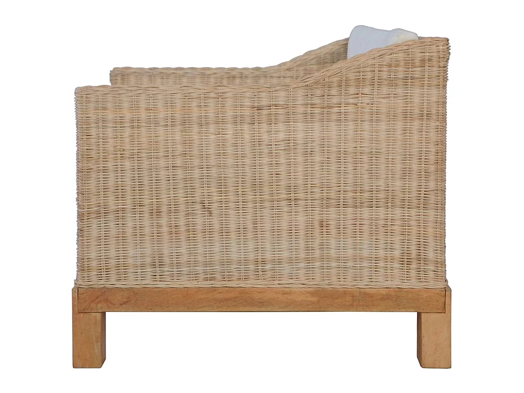 Fauteuil avec coussins Rotin naturel